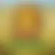 Zagraj Mega Moolah z Games Global w {"id":69,"name":"AmunRa","design":{"logo":"amunra-logo-Ux9bDI.svg","favicon":"amunra-favicon-DAYTz4.png","banner_poker":"amunra-poker-LWVOn8.webp","banner_mobile":"amunra-mobile-URoryQ.webp","block_bg_color":"#221605","image_bg_color":"#170F03","banner_bg_color":"#18181b","block_text_color":"#A9896F","primary_bg_color":"#000000","banner_text_color":"#A8886F","footer_logos_type":"white","block_round_radius":"0","primary_text_color":"#f8fafc","button_round_radius":"9999px","banner_welcome_bonus":"amunra-welcome-bonus-RohMiY.webp","primary_button_bg_color":"#CB5829","primary_button_text_color":"#fff","secondary_button_bg_color":"#541D11","secondary_button_text_color":"#fff"},"created_at":"2025-05-14T09:25:22.000000Z","updated_at":"2025-05-14T09:25:22.000000Z","deleted_at":null}