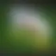 Zagraj Let It Ride z Playtech w {"id":69,"name":"AmunRa","design":{"logo":"amunra-logo-Ux9bDI.svg","favicon":"amunra-favicon-DAYTz4.png","banner_poker":"amunra-poker-LWVOn8.webp","banner_mobile":"amunra-mobile-URoryQ.webp","block_bg_color":"#221605","image_bg_color":"#170F03","banner_bg_color":"#18181b","block_text_color":"#A9896F","primary_bg_color":"#000000","banner_text_color":"#A8886F","footer_logos_type":"white","block_round_radius":"0","primary_text_color":"#f8fafc","button_round_radius":"9999px","banner_welcome_bonus":"amunra-welcome-bonus-RohMiY.webp","primary_button_bg_color":"#CB5829","primary_button_text_color":"#fff","secondary_button_bg_color":"#541D11","secondary_button_text_color":"#fff"},"created_at":"2025-05-14T09:25:22.000000Z","updated_at":"2025-05-14T09:25:22.000000Z","deleted_at":null}